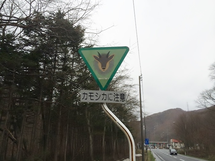 青森県にあったカモシカ注意の看板